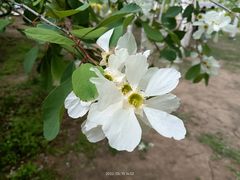 -长春公园(普阳街道)