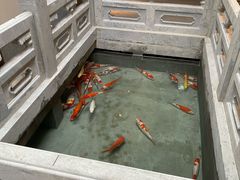 -鲤院·新中式美学·庭院餐厅(夫子庙店)