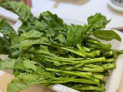 板蓝根生上-红日饭店(裕隆三路店)