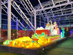 -南宫五洲植物乐园