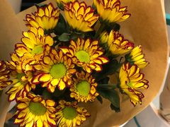 -BoBloom花店(晶耀前滩店)