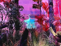 -中国湿地博物馆