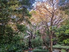 -香港大学