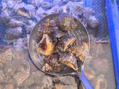 -1937青岛老味道·海肠捞饭·青岛菜(大鲍岛栈桥店)