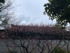 -惠山古镇·寄畅园