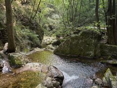 -牛背梁国家森林公园