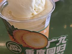 -广九餐室(陈家祠扬韬广场店)