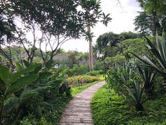 -四季酒店下午茶