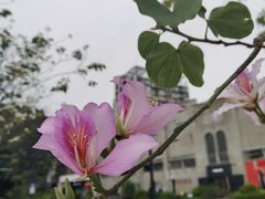 -洲头咀公园