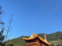 -深圳仙湖植物园