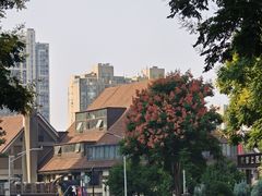 -Beans Solo豆号咖啡(百家湖花园店)