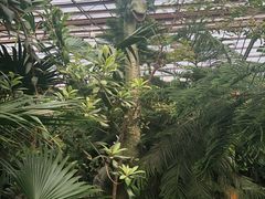 -呀路古热带植物园-恐龙馆