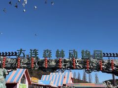 -大连森林动物园