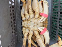 -不仔客海鲜·三亚老字号(第一市场店)