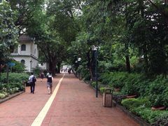 -九龙公园