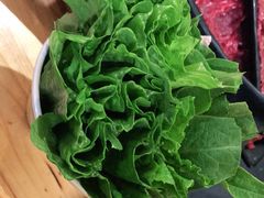 -陈记顺和牛肉火锅(岗顶店)