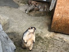 -黔灵山公园-南门售票处