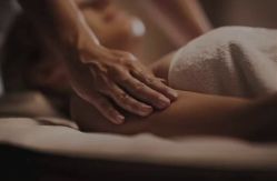 -薇薇安花系SPA