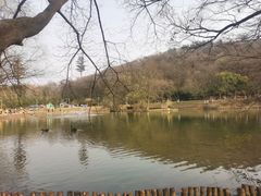 -金陵矩阵(聚宝山公园店)
