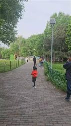 -吨儿熊自然探险乐园·儿童AR自然探索·家庭户外运动(奥林匹克森林公园店)