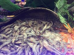 -爱有声毛肚串串火锅自助(龙之梦大都汇店)