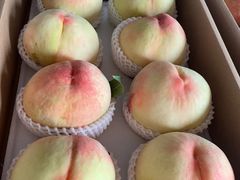 -南汇新场正宗水蜜桃采摘