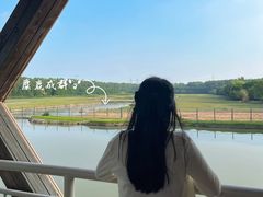 -溱湖国家湿地公园