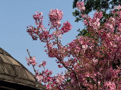 -乌山风景区