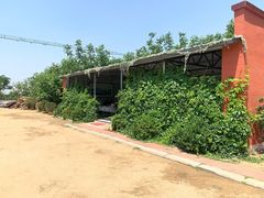 -水库活鱼馆(于桥水库店)