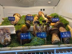 -束河人家(南锣鼓巷店)