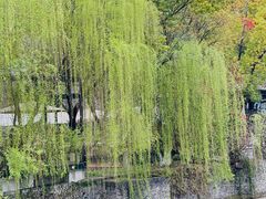 -苏州本色美术馆