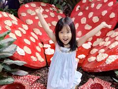 -正佳雨林生态植物园