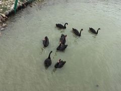 -天津东丽湖风景区