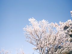 -安吉龙王山风景区