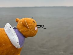 -观潮胜地公园