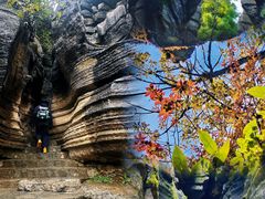 -梭布垭石林景区