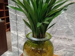 -弘安丽水温泉酒店