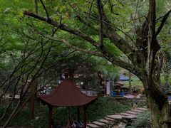 -莫干山风景区