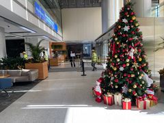 -新元素(丽都店)