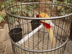 -南宫五洲植物乐园