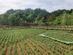 -龙川湾千岛湖国际垂钓中心