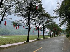 -广州市石门国家森林公园