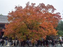 -香山公园