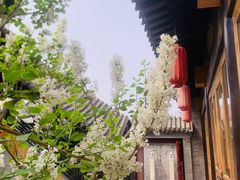 -宛平九号