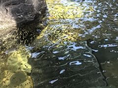 -溧阳天目湖天沐温泉