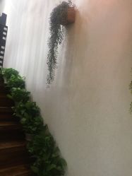 -川禾美发沙龙