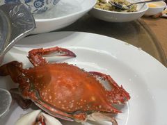 -天天鱼港·海鲜·鲅鱼水饺·招牌烤鸭(黄骅店)