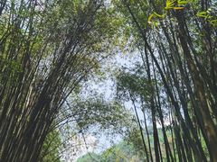 -三峡人家风景区