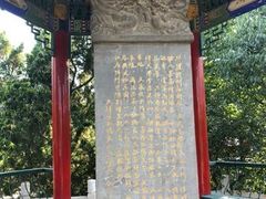-桃花堤公园