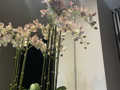 -峨嵋一派